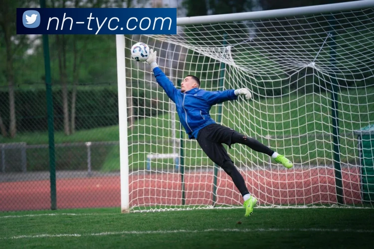 澳门太阳城平台生态图